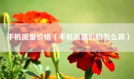 手机流量价格（手机流量价格怎么算）