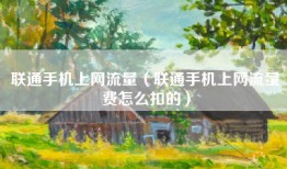 联通手机上网流量（联通手机上网流量费怎么扣的）