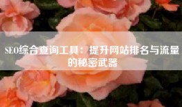 SEO综合查询工具：提升网站排名与流量的秘密武器