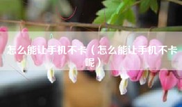 怎么能让手机不卡（怎么能让手机不卡呢）