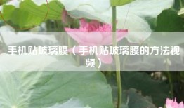 手机贴玻璃膜（手机贴玻璃膜的方法视频）