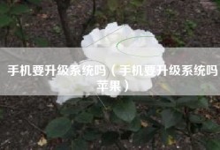 手机要升级系统吗（手机要升级系统吗苹果）