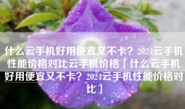 什么云手机好用便宜又不卡？2024云手机性能价格对比云手机价格「什么云手机好用便宜又不卡？2024云手机性能价格对比」