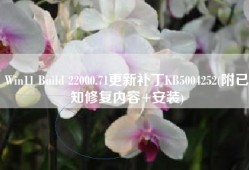 Win11 Build 22000.71更新补丁KB5004252(附已知修复内容+安装)