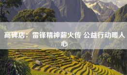 高碑店：雷锋精神薪火传 公益行动暖人心