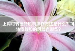 上海可转债转股的操作方法是什么？可转债转股的风险有哪些？