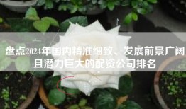 盘点2024年国内精准细致、发展前景广阔且潜力巨大的配资公司排名