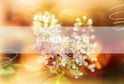 koko加速器ios下载