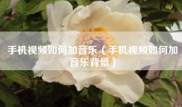 手机视频如何加音乐（手机视频如何加音乐背景）