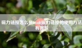 磁力链接怎么是html,磁力链接的使用方法有哪些