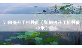如何提升手机性能（如何提升手机性能小米）