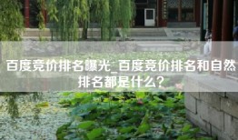 百度竞价排名曝光_百度竞价排名和自然排名都是什么？