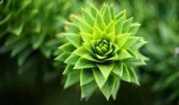 小米汽车卖一辆亏三万？账可不是这么算的