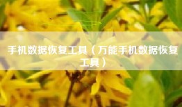 手机数据恢复工具（万能手机数据恢复工具）