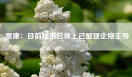 贾康：目前楼市总体上已显现企稳主导