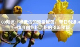 QQ频道：被低估的流量巨兽，单日引爆500+精准创业粉、粉的引流秘籍