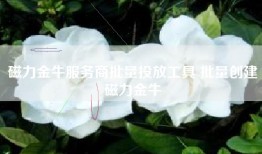 磁力金牛服务商批量投放工具 批量创建磁力金牛