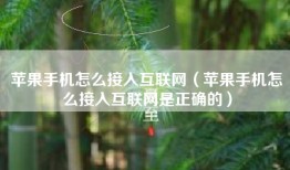 苹果手机怎么接入互联网（苹果手机怎么接入互联网是正确的）