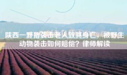陕西一野猪袭击老人致其身亡，被野生动物袭击如何赔偿？律师解读