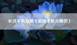 长沙手机分期（长沙手机分期仿）