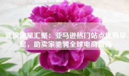 武汉流星汇聚：亚马逊热门站点优势尽显，助卖家驰骋全球电商蓝海