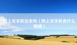 网上买手机安全吗（网上买手机有什么弊端）
