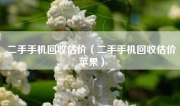 二手手机回收估价（二手手机回收估价苹果）