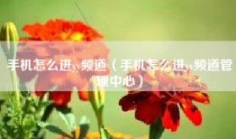 手机怎么进yy频道（手机怎么进yy频道管理中心）
