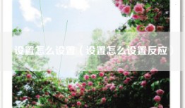 设置怎么设置（设置怎么设置反应）