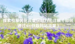 搜索引擎优化流量获取方法详解（如何通过SEO获取网站流量）