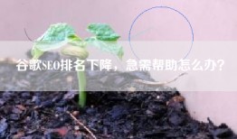 谷歌SEO排名下降，急需帮助怎么办？
