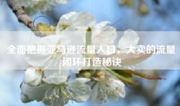 全面把握亚马逊流量入口，大卖的流量闭环打造秘诀
