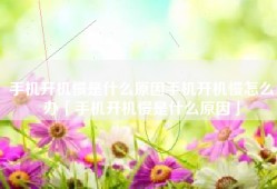 手机开机慢是什么原因手机开机慢怎么办「手机开机慢是什么原因」