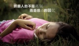 保定大堤口最新动态更新