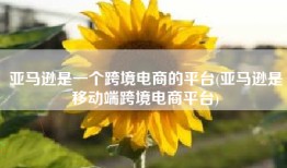 亚马逊是一个跨境电商的平台(亚马逊是移动端跨境电商平台)