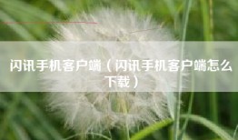 闪讯手机客户端（闪讯手机客户端怎么下载）