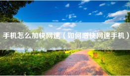 手机怎么加快网速（如何增快网速手机）