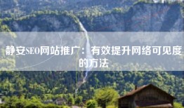 静安SEO网站推广：有效提升网络可见度的方法