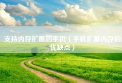 支持内存扩展的手机（手机扩展内存的优缺点）