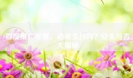 百度推广年费，必须支付吗？安全与否大揭秘