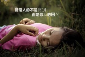 保定大堤口最新动态更新