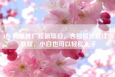 Ai+网盘推广拉新项目，含授权推广详细教程，小白也可以轻松上手