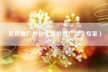 竞价推广外包（竞价推广顶尖专家）