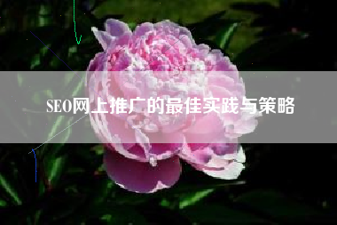 SEO网上推广的最佳实践与策略