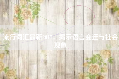 流行词汇最新2017，揭示语言变迁与社会现象