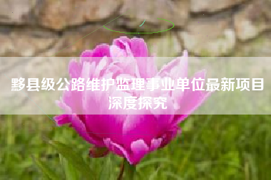 黟县级公路维护监理事业单位最新项目深度探究