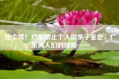 吃个瓜！广东禁止个人做亲子鉴定，广东男人们的绿帽……