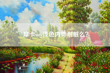 摩卡wey浅色内饰耐脏么？