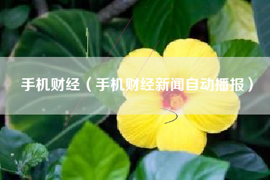 手机财经（手机财经新闻自动播报）