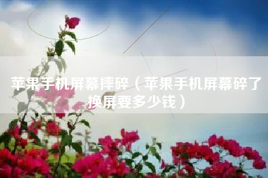 苹果手机屏幕摔碎（苹果手机屏幕碎了换屏要多少钱）